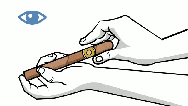 Cách Hút Cigar Đầy Đủ, Đúng Điệu Nhất